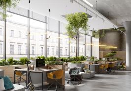Ekologiczne biuro – 6 pomysłów na stworzenie eko miejsca pracy