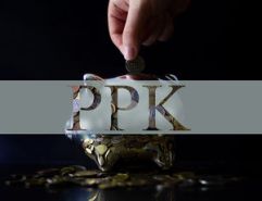 Rząd chce zwiększać partycypację w PPK. Przyspieszy w tym celu autozapis do programu?