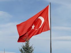 Jakie warunki należy spełnić organizując staż dla obywatela Turcji