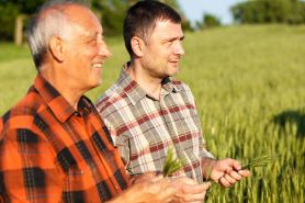 Staż pracy – czy zaświadczenie KRUS może być samodzielnym dowodem pracy w gospodarstwie rolnym