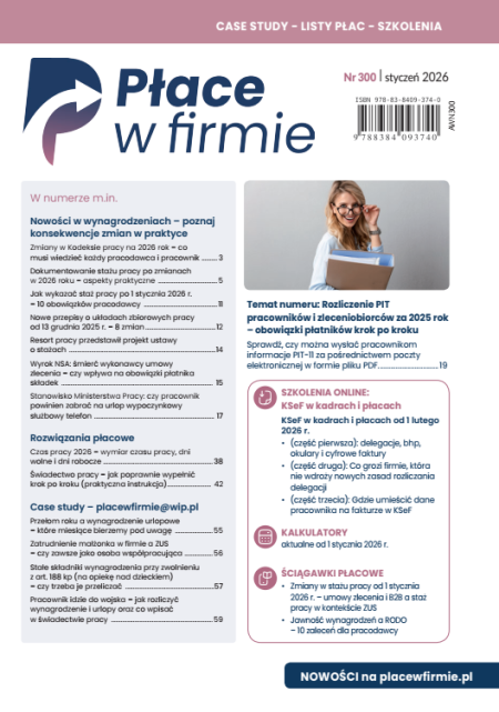 Płace w firmie nr 300 styczeń 2026
