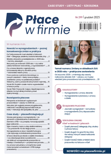 Płace w firmie nr 299 grudzień 2025