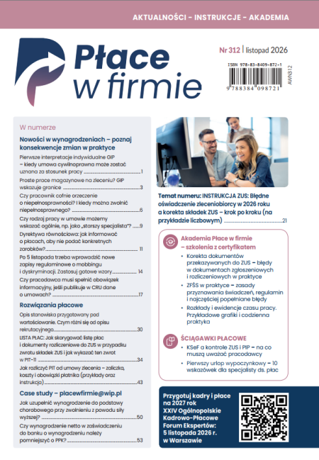 Płace w firmie nr 312 listopad 2026