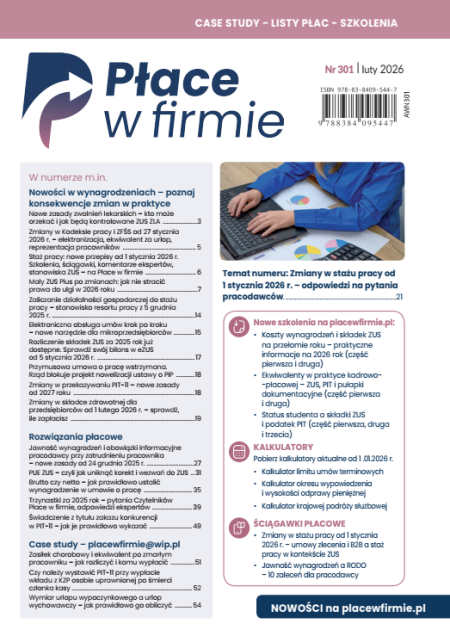Płace w firmie nr 301 luty 2026