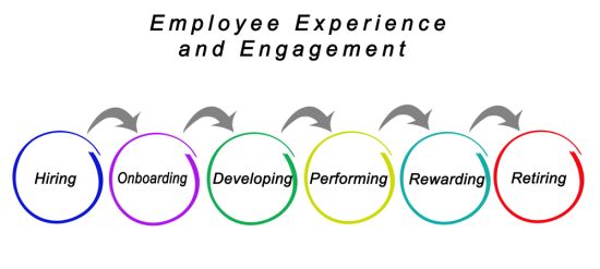 Ankiety pracownicze w podróży pracownika przez firmę (employee experience)