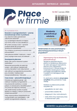 Płace w firmie nr 306 czerwiec 2026
