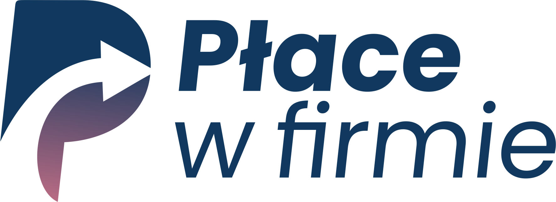 Płace w firmie
